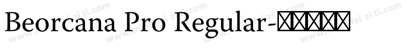 Beorcana Pro Regular字体转换